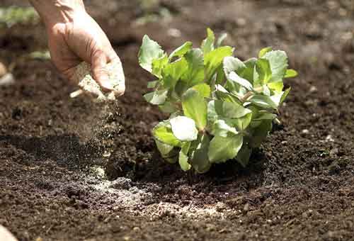 இயற்கை உரத்தை ஊக்குவிப்போம்🍃🍃🍃🍃🍃🍃