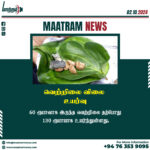 வெற்றிலை விலை உயர்வு