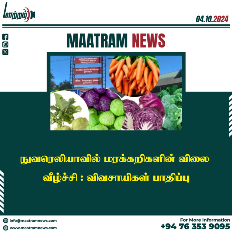 நுவரெலியாவில் மரக்கறிகளின் விலை வீழ்ச்சி : விவசாயிகள் பாதிப்பு