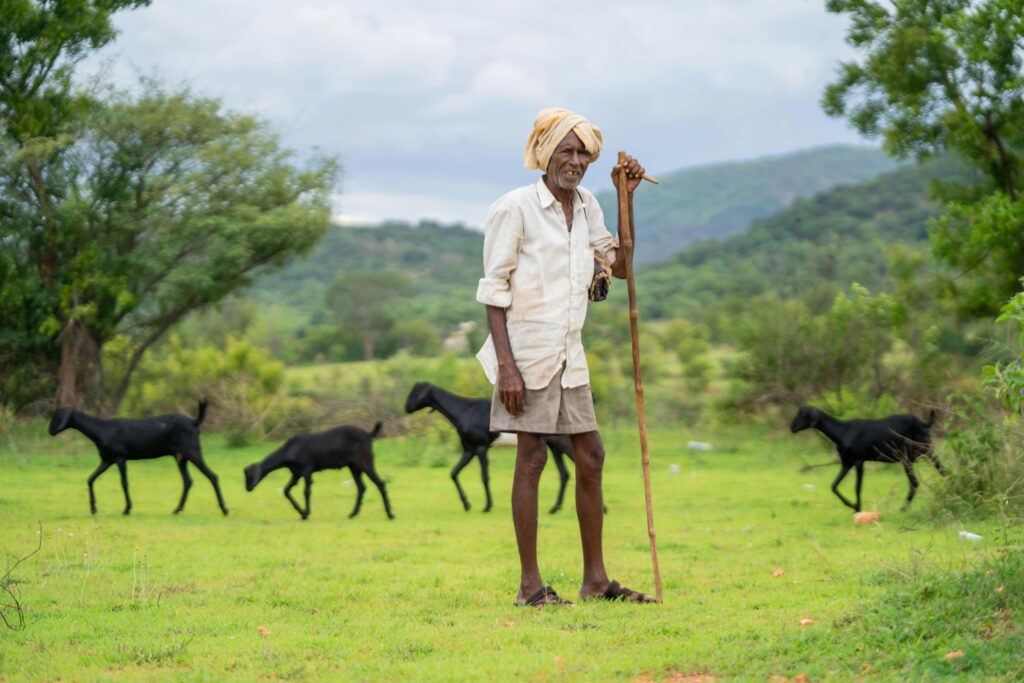 Agricultural