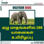 ஏழு மாதங்களில் 198 யானைகள் உயிரிழப்பு