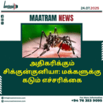 அதிகரிக்கும் சிக்குன்குனியா: மக்களுக்கு கடும் எச்சரிக்கை
