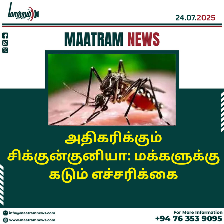 அதிகரிக்கும் சிக்குன்குனியா: மக்களுக்கு கடும் எச்சரிக்கை