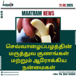 செவ்வாழைப்பழத்தின் மருத்துவ குணங்கள் மற்றும் ஆரோக்கிய நன்மைகள்