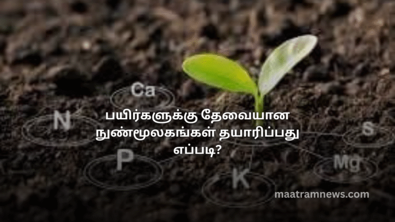 பயிர்களுக்கு தேவையான நுண்மூலகங்கள் தயாரிப்பது எப்படி?
