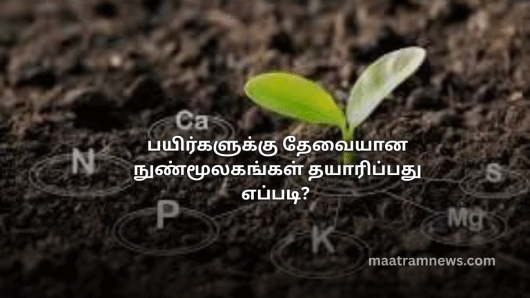 பயிர்களுக்கு தேவையான நுண்மூலகங்கள் தயாரிப்பது எப்படி?
