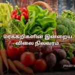 மரக்கறிகளின் இன்றைய விலை நிலவரம்