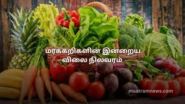 மரக்கறிகளின் இன்றைய விலை நிலவரம்