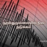 ஹல்துமுல்லையில் நில நடுக்கம்
