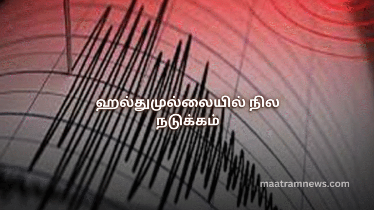 ஹல்துமுல்லையில் நில நடுக்கம்