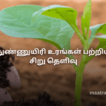 நுண்ணுயிரி உரங்கள் பற்றிய சிறு தெளிவு