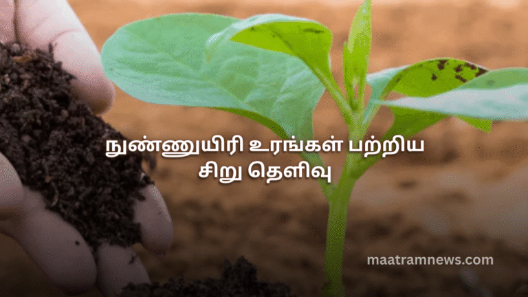 நுண்ணுயிரி உரங்கள் பற்றிய சிறு தெளிவு
