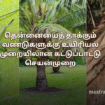 தென்னையைத் தாக்கும் வண்டுகளுக்கு உயிரியல் முறையிலான கட்டுப்பாட்டு செயன்முறை