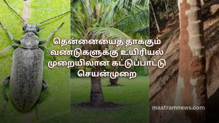 தென்னையைத் தாக்கும் வண்டுகளுக்கு உயிரியல் முறையிலான கட்டுப்பாட்டு செயன்முறை