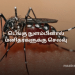 டெங்கு நுளம்பினால் மனிதர்களுக்கு செலவு