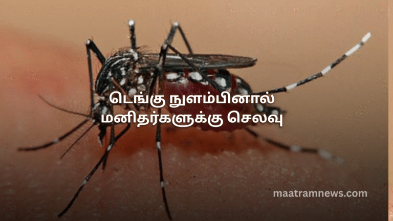 டெங்கு நுளம்பினால் மனிதர்களுக்கு செலவு