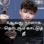 அமெரிக்காவில் எம்மி விருதை வென்றஓவன் கூப்பர்