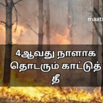 4ஆவது நாளாக தொடரும் காட்டுத் தீ