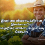 இயற்கை விவசாயத்தினை இலங்கையில் வெற்றிகரமாகசெய்வது எப்படி தொடர் 6