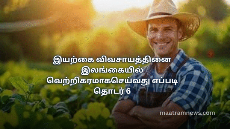 இயற்கை விவசாயத்தினை இலங்கையில் வெற்றிகரமாகசெய்வது எப்படி தொடர் 6