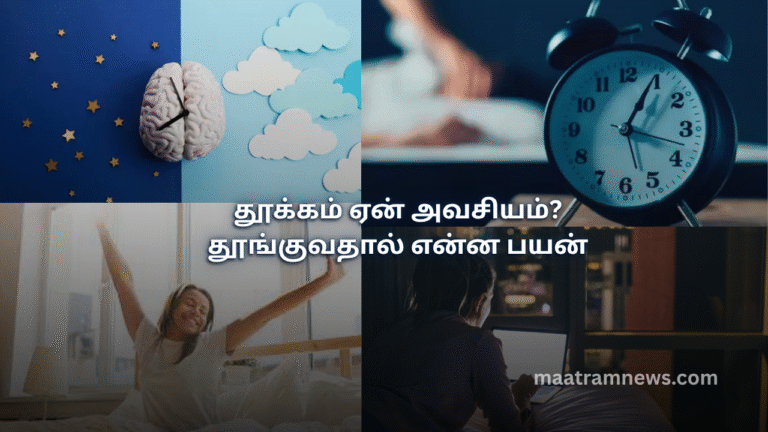 தூக்கம் ஏன் அவசியம்? தூங்குவதால் என்ன பயன்