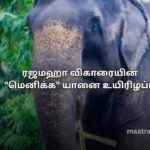 ரஜமஹா விகாரையின் "மெனிக்க" யானை உயிரிழப்பு