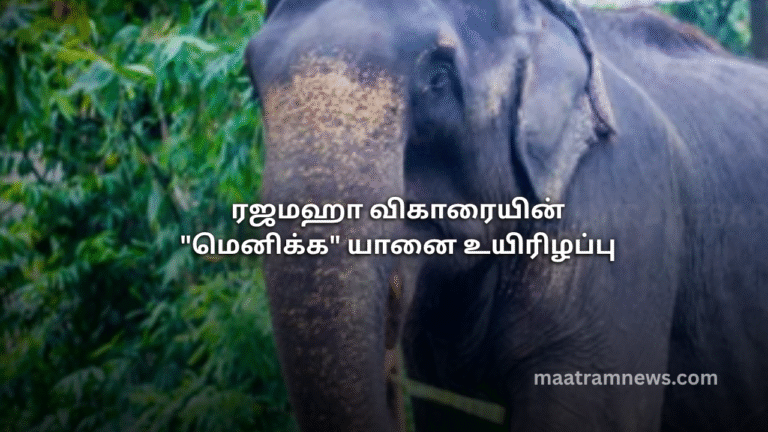 ரஜமஹா விகாரையின் "மெனிக்க" யானை உயிரிழப்பு
