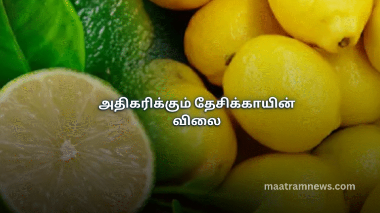 அதிகரிக்கும் தேசிக்காயின் விலை
