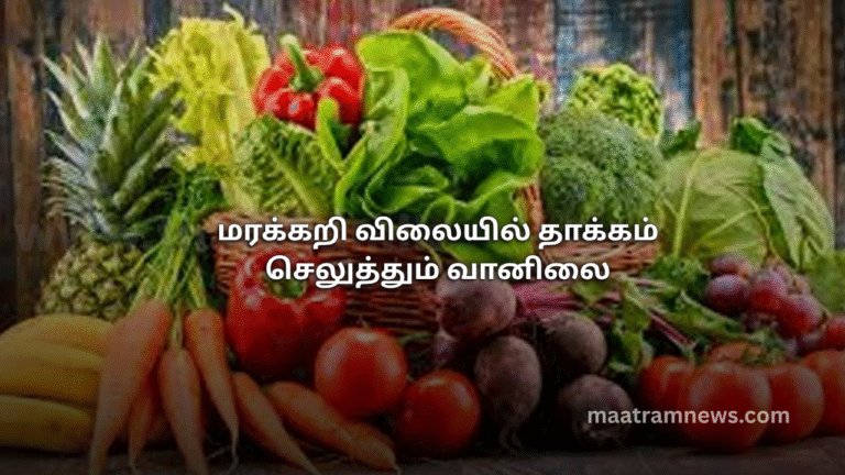 மரக்கறி விலையில் தாக்கம் செலுத்தும் வானிலை