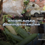 கால்நடைகளுக்கு தீவனமாகும் மரக்கறிகள்