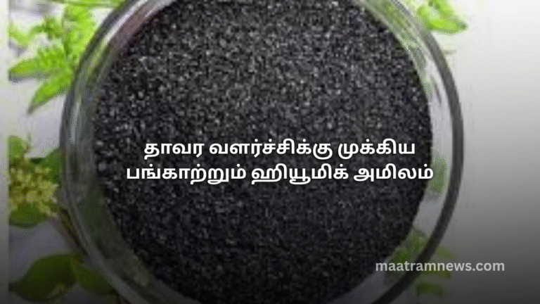 தாவர வளர்ச்சிக்கு முக்கிய பங்காற்றும் ஹியூமிக் அமிலம்