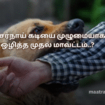 விசர்நாய் கடியை முழுமையாக ஒழித்த முதல் மாவட்டம்..?