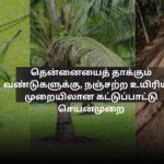 தென்னையைத் தாக்கும் வண்டுகளுக்கு, நஞ்சற்ற உயிரியல் முறையிலான கட்டுப்பாட்டு செயன்முறை