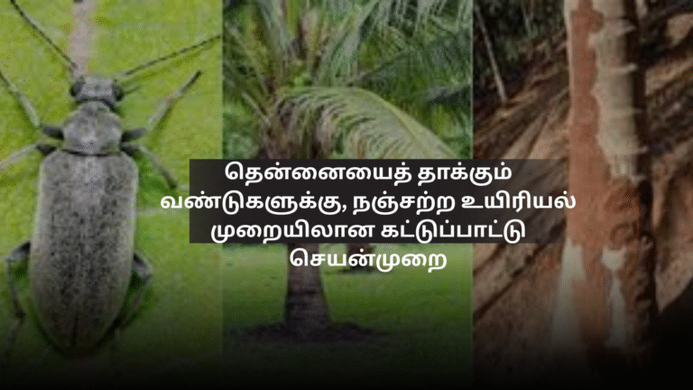 தென்னையைத் தாக்கும் வண்டுகளுக்கு, நஞ்சற்ற உயிரியல் முறையிலான கட்டுப்பாட்டு செயன்முறை