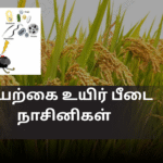 இயற்கை உயிர் பீடை நாசினிகள்