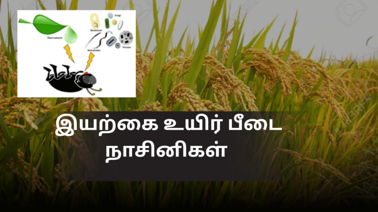 இயற்கை உயிர் பீடை நாசினிகள்
