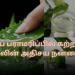 சருமப் பராமரிப்பில் கற்றாழை ஜெல்லின் அதிசய நன்மைகள்