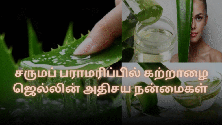 சருமப் பராமரிப்பில் கற்றாழை ஜெல்லின் அதிசய நன்மைகள்