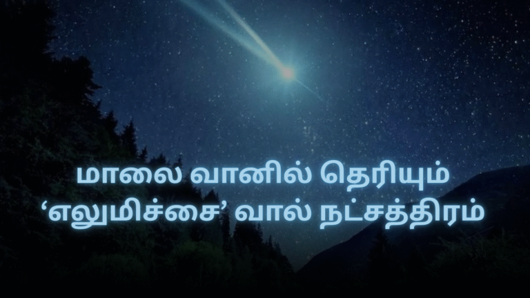 மாலை வானில் தெரியும் ‘எலுமிச்சை’ வால் நட்சத்திரம்