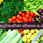 Vegetable Prices Reach a Peak