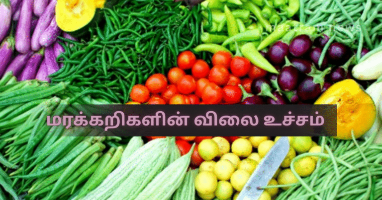 Vegetable Prices Reach a Peak