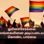 Homosexuality: A Perspective Based on Sri Lanka