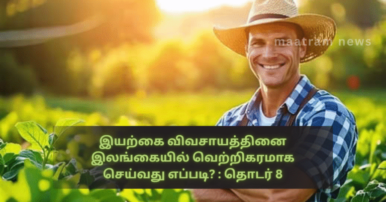 How to Successfully Practice Natural Farming in Sri Lanka? : Series 8