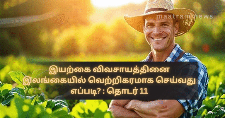 How to Successfully Practice Natural Farming in Sri Lanka? : Series 11