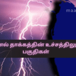 Areas at High Risk of Lightning Strikes