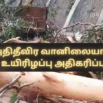 Increase in Death Toll Due to Extreme Weather