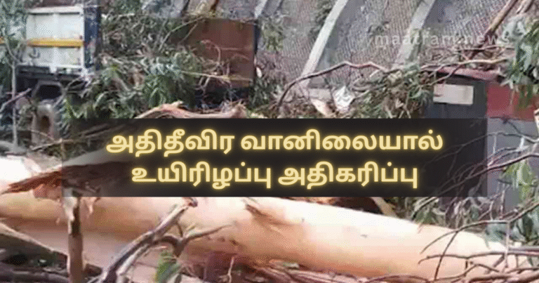 Increase in Death Toll Due to Extreme Weather