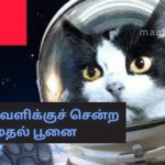 The First Cat to Go to Space