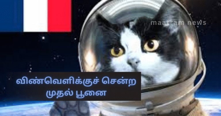 The First Cat to Go to Space