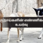 Increase in the Number of Stray Dogs